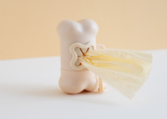 5 Buah yang Dapat Menyebabkan Tulang Keropos Jika Dikonsumsi Berlebihan