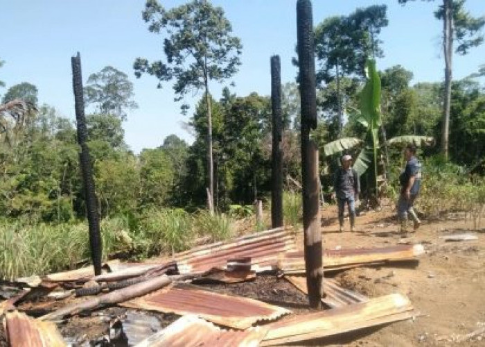 Dorong Persetujuan Hutan Kemasyarakatan dan Hutan Adat untuk Petani Perkebunan di Bengkulu 