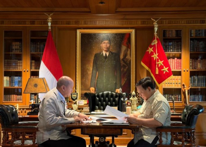 Presiden dan Rosan Bahas Pembangunan Program Hilirisasi di 13 Lokasi