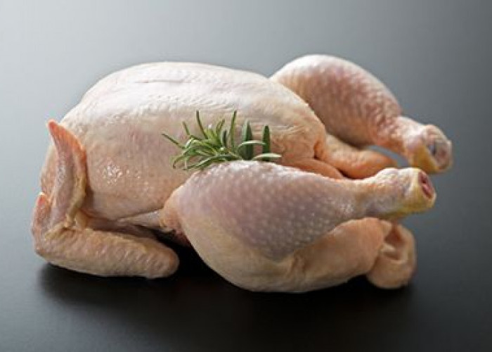 Awas! Simak Ciri-ciri Daging Ayam Tiren dan Cara Membedakannya 