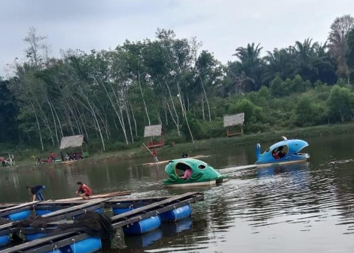 Cekdam Bengkulu Tengah: Destinasi Wisata Baru dengan Area Camping dan Taman Bermain