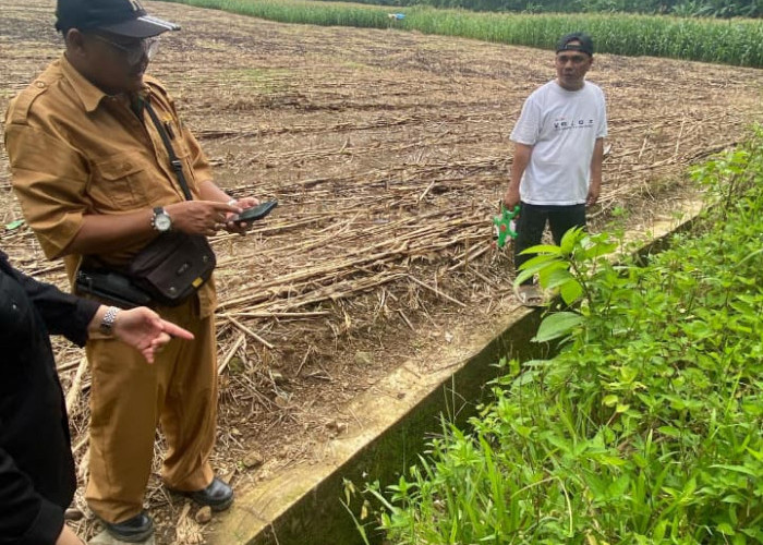   Dugaan Korupsi DD Bandar Agung Terus Didalami, Penyidik Turun Cek Pekerjaan Desa