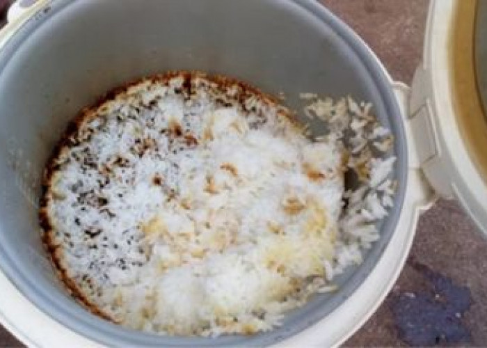 Nasi Gosong di Rice Cooker? Ketahui Penyebab dan Solusinya