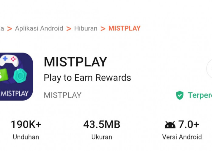 Cara Yang Menyenangkan Hasilkan Saldo DANA Gratis Melalui Aplikasi Game Mistplay