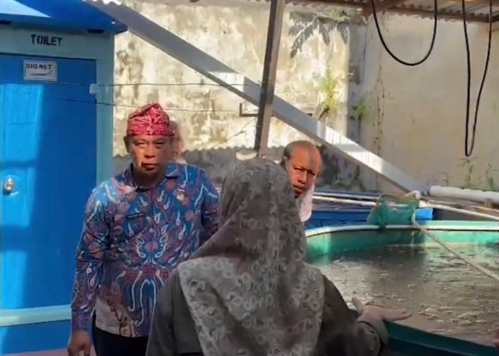 DLH Kota Bengkulu Siapkan Pengembangan Budidaya Magot di Sembilan Kecamatan