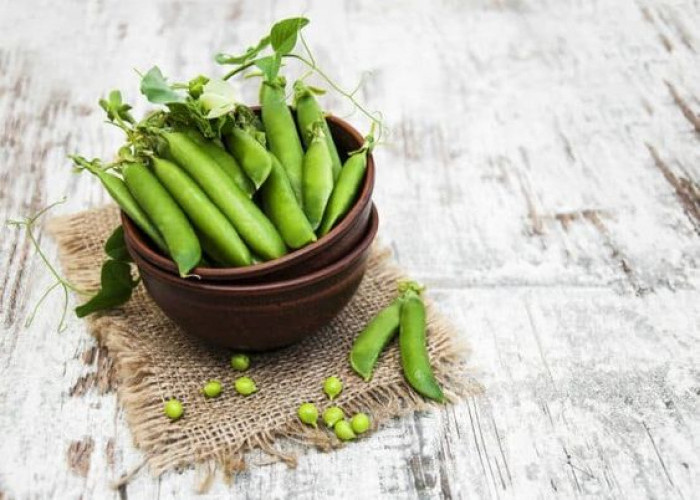 Baik untuk Kesehatan, Inilah 5 Manfaat Kacang Kapri yang Sayang Untuk Dilewatkan