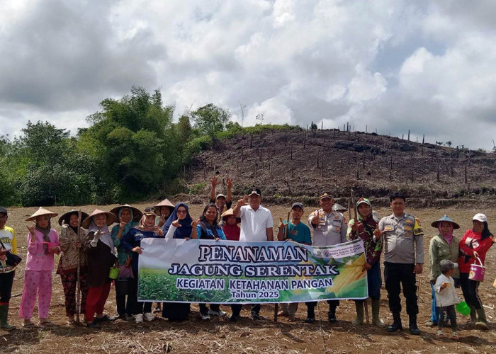 Desa Tanah Hitam Bengkulu Utara Sabet Juara I Lomba Jagung, Dapat Rp 1 Miliar