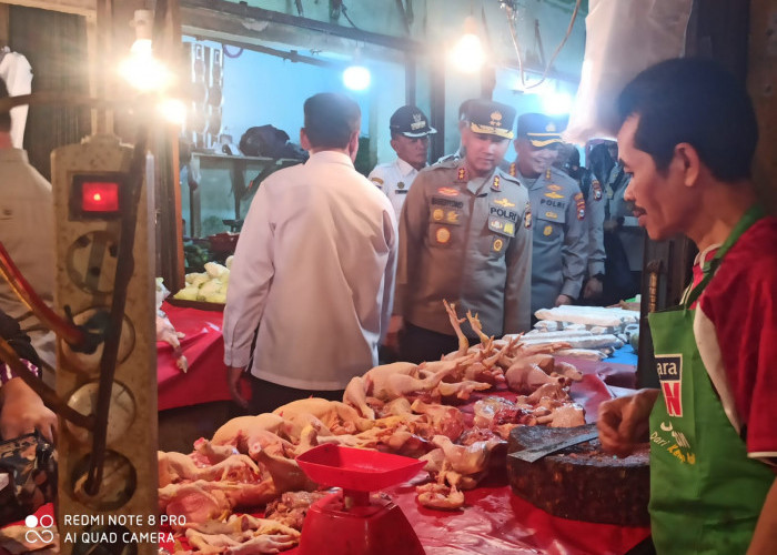 Sidak Pasar Minggu Bengkulu, Harga Ayam Tembus Rp45 Ribu, Kapolda Sebut Masih Wajar