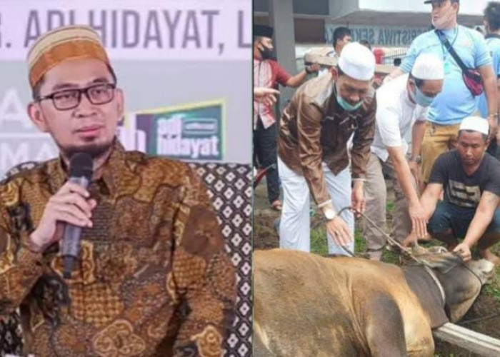 Hukum Kurban Berdasarkan 4 Mazhab, Berikut Penjelasan Ustaz Adi Hidayat