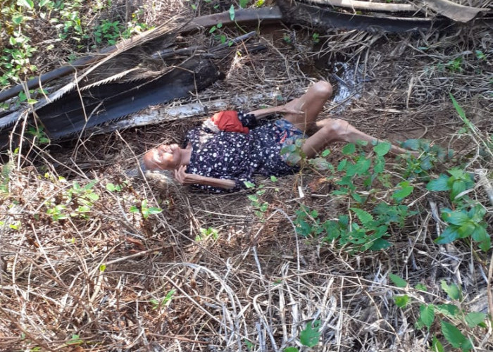 5 Hari Menghilang, Nenek Supinah Ditemukan Terbaring Lemah di Kebun Sawit 