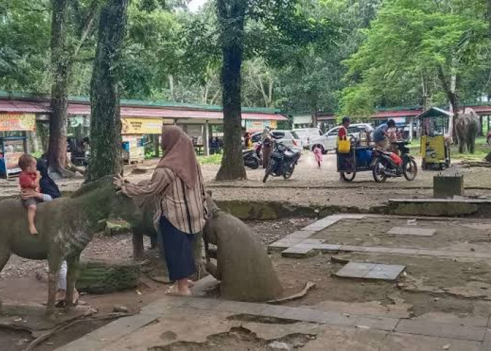 Wali Kota Bengkulu Rencanakan Bangun Jogging Track di Taman Remaja