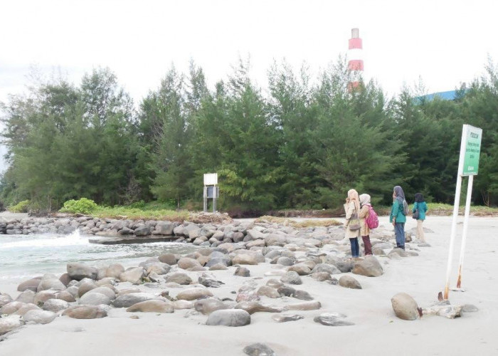 Limbah PT. TLB Diduga Menjadi Penyebab Suhu Air Laut di Bengkulu Naik 6 Derajat Celcius