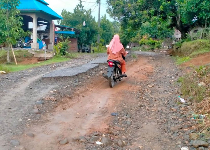 Anggaran DAK Dihapus, Pembangunan Tujuh Ruas Jalan di Mukomuko Tertunda