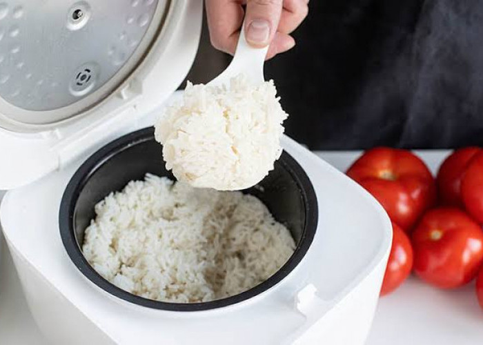 KABAR GEMBIRA! Bulan November Dipastikan Bantuan Rice Cooker Gratis Dibagikan