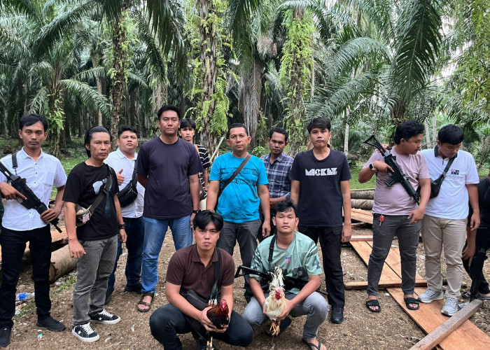 Polres Kaur Bubarkan Judi Sabung Ayam di Tanjung Kemuning