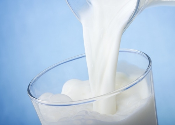 Manfaat Susu Kambing Tidak Kalah dengan Susu Sapi