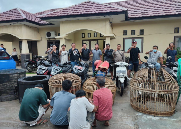 Judi Sabung Ayam, 5 Warga Kota Bengkulu Ditangkap