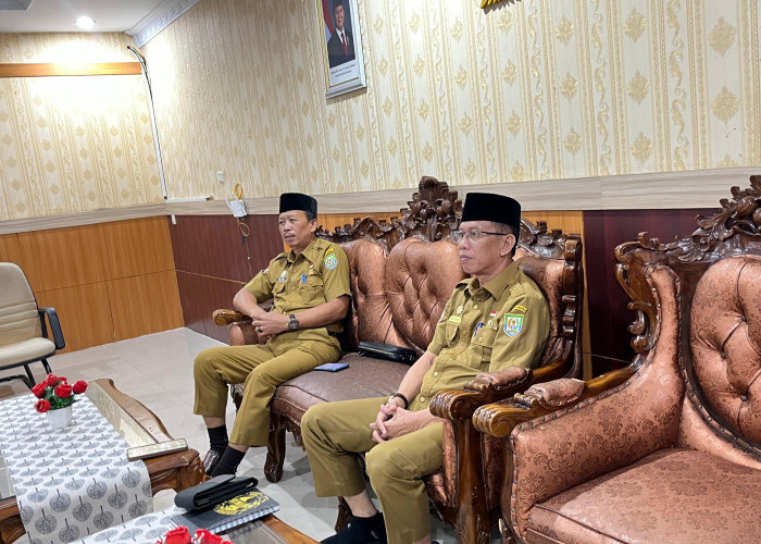 Presiden RI Salurkan 11 Ekor Sapi Kurban untuk Bengkulu, Disebar Merata ke Seluruh Kabupaten/Kota