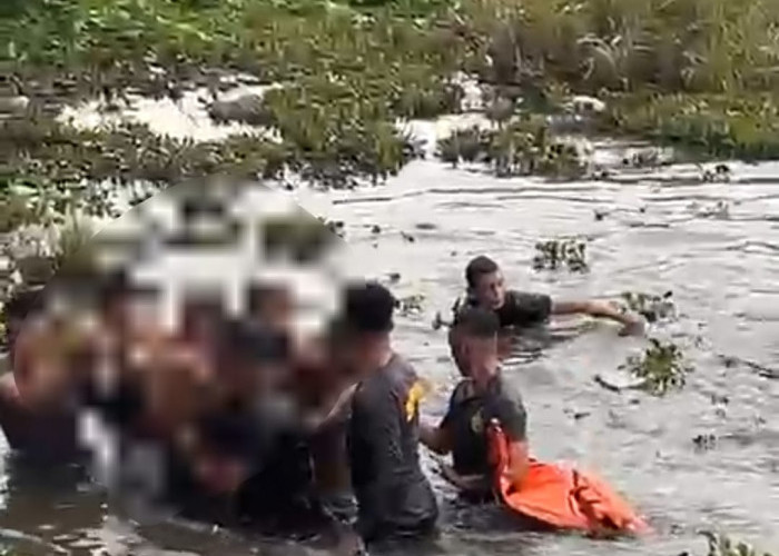 Tragis, Pelajar SD di Kota Bengkulu Meninggal Dunia Usai Tenggelam di Rawa Kawasan DDTS