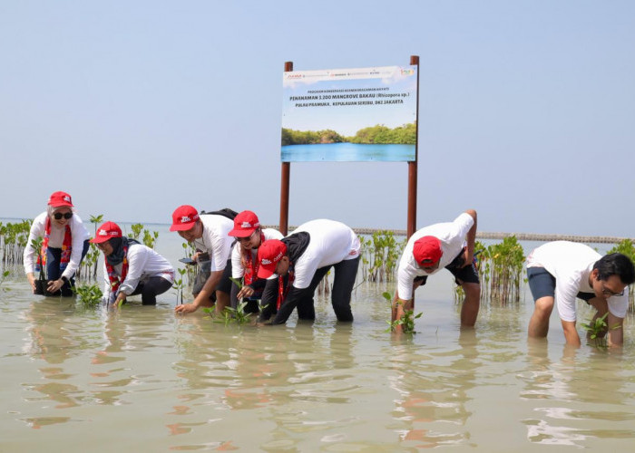 Tanam Ribuan Pohon, AHM Perkuat Upaya Penyerapan Karbon untuk Mitigasi Perubahan Iklim