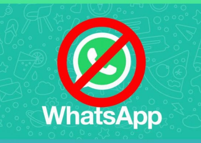 Tak Harus Matikan Data Total, Berikut Ini Cara Mudah Matikan Data Hanya untuk WhatsApp 