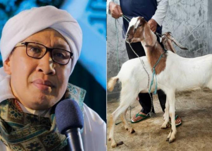 Bolehkah Kurban dengan Kambing Betina? Berikut Penjelasan Buya Yahya