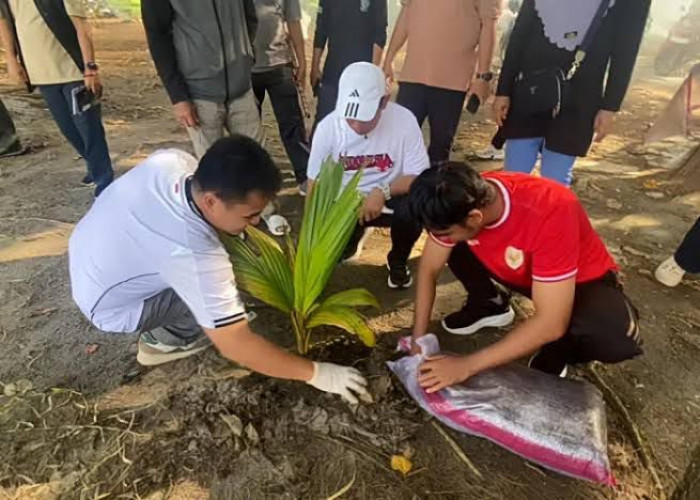 Pemkot Bengkulu Kerahkan Seluruh OPD Rawat Ribuan Pohon Kelapa di Pantai Panjang