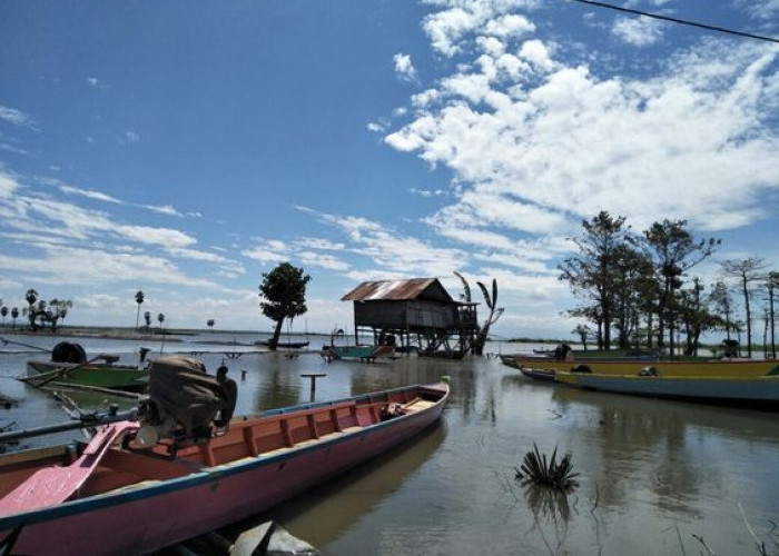 Destinasi Wisata Danau Tempe di Wajo Sulawesi Selatan, Daya Tarik, Harga Tiket dan Jam Operasional 