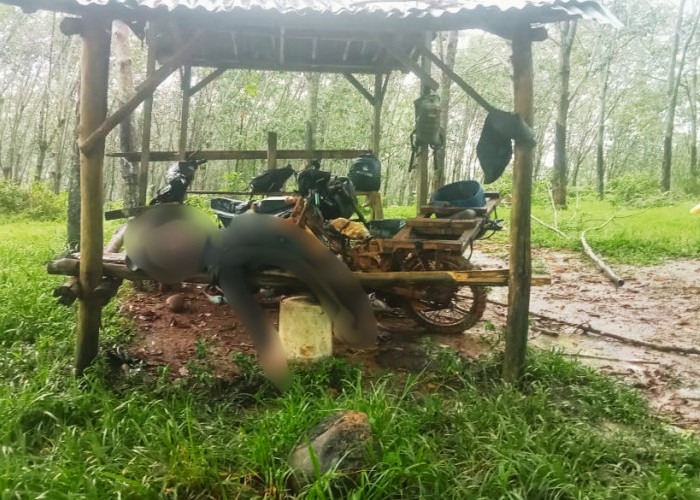 Petir Sambar Penyadap Karet di Seluma, Satu Tewas Dua Luka