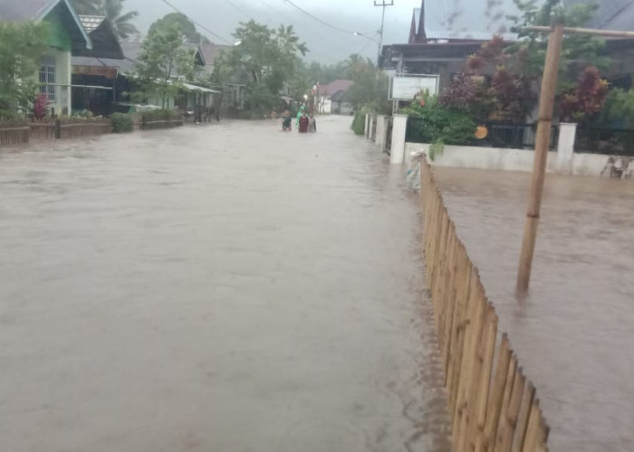 Ratusan Rumah Warga di Lebong Terendam Banjir