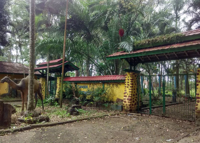 Ajukan Pengelolaan Taman Remaja, Pemkot Bengkulu Bakal Kembangkan Wisata Baru