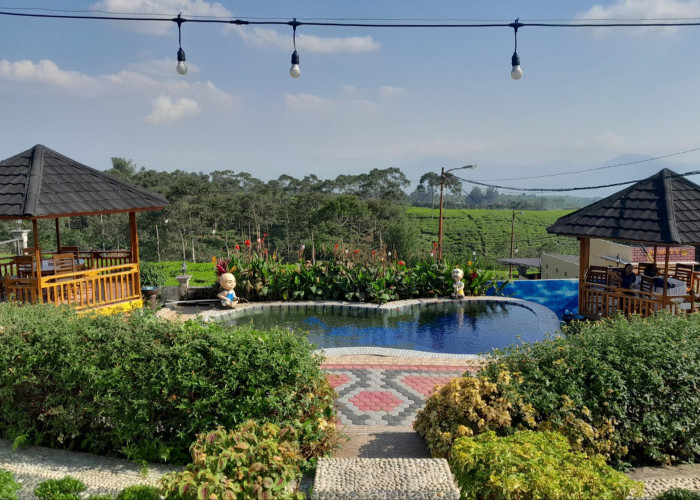 Menginap di Villa Thania Sambil Nikmati Hamparan Kebun Teh Kabawetan  