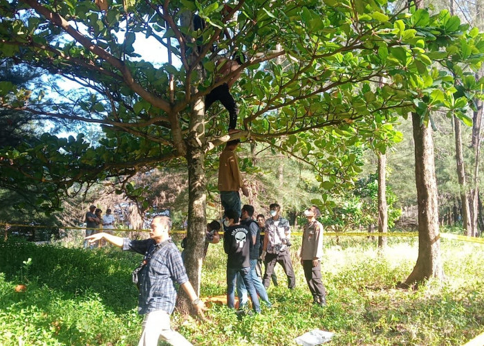 Pemuda Tewas Tergantung di Pohon, Diduga Bunuh Diri