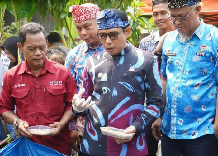 Olah Sekitar 2 Ton Sampah Organik per Bulan, Budidaya Maggot di Bengkulu Terintegrasi dengan Ternak Bebek