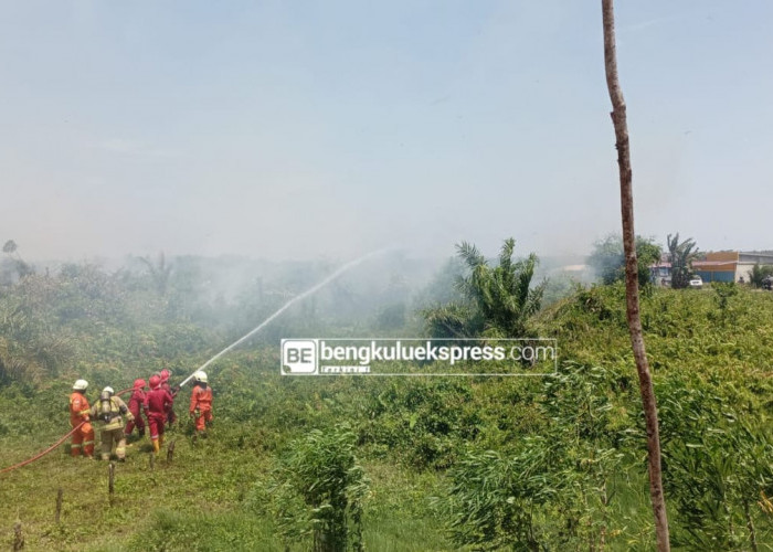 Lahan di Kelurahan Surabaya Kota Bengkulu Terbakar, Puluhan Kepala Keluarga Terdampak 