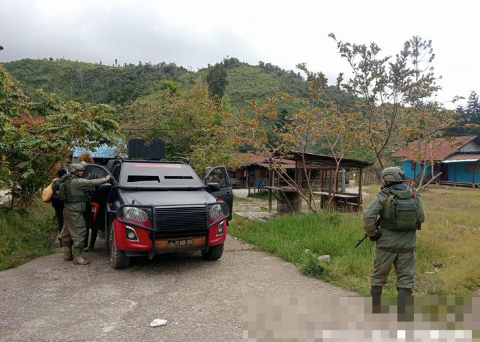 Tim Satgas Damai Cartenz Polres Pegunungan Bintang dan TNI Temukan Ladang Ganja dalam Patroli Taktis
