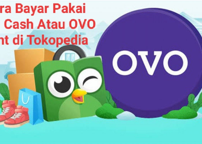 Pakai OVO Cash Atau OVO Point Untuk Bayar Belanjaan di Tokopedia, Begini Caranya