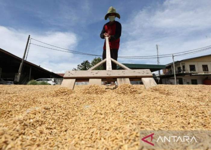 Perang Melawan Kelaparan Demi Masa Depan Bangsa