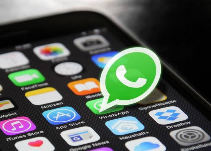 Keren Nih! 2023 WhatsApp Bisa Kirim Pesan dan Video Call Tanpa Internet