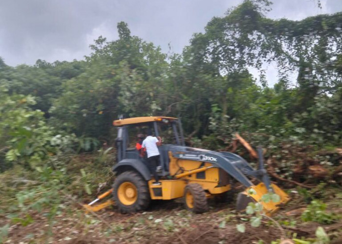  Dorong Ketahanan Pangan Daerah, BPBD Kota Bengkulu Buka Lahan Jagung