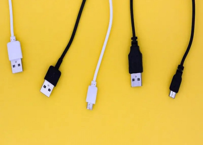 Jangan Sampai Salah! Punya Fungsi yang Mirip, Berikut Perbedaan USB Type A, B dan C