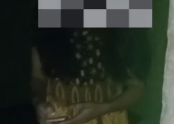 Skandal 'Pagar Makan Tanaman' di Seginim, Suami Merantau, Istri Kepergok Bareng Teman Dekat