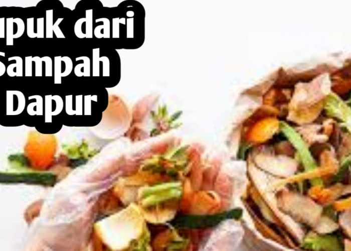 10 Sampah Dapur Ini Bisa Menyuburkan Tanaman