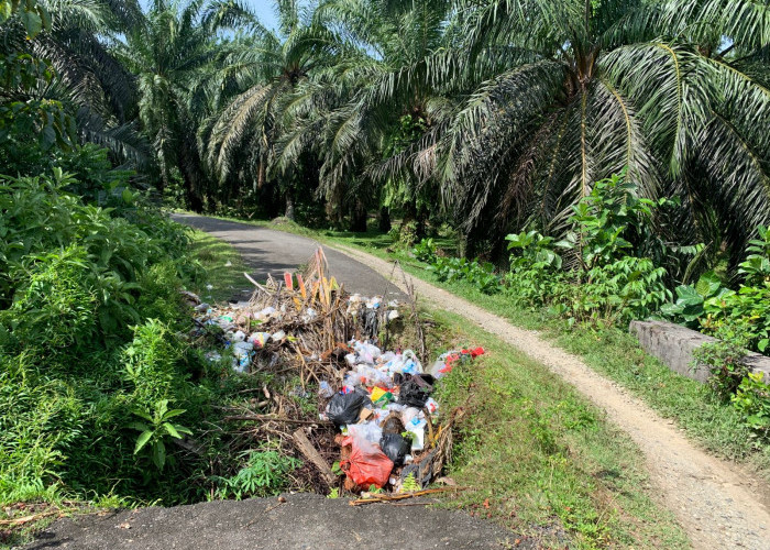 Jalan Berlubang di Pino Raya Bengkulu Selatan Malah Jadi Tempat Sampah