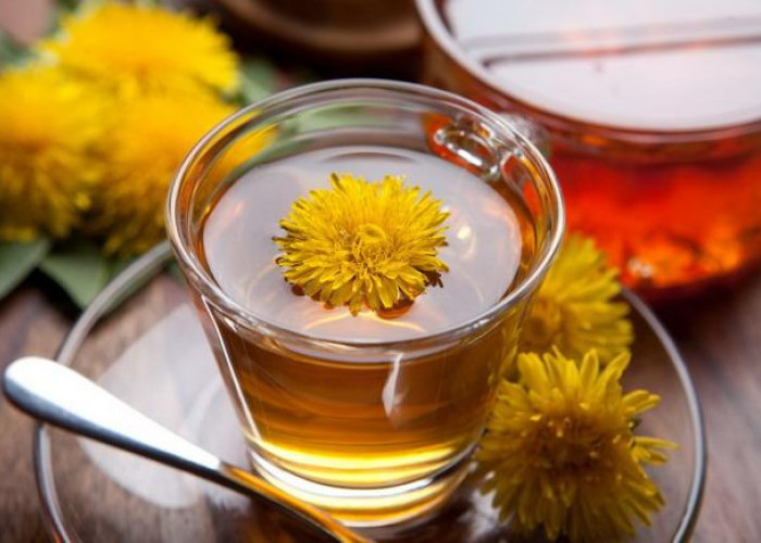 Tips Mengonsumsi Bunga Dandelion Agar Berkhasiat Maksimal