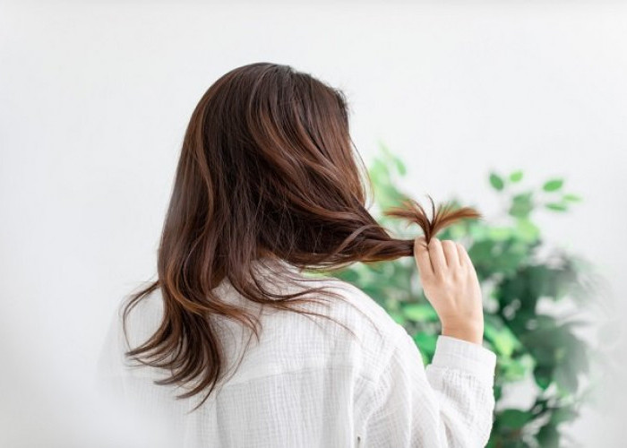 Begini Cara Agar Rambut Tidak Mengembang dan Tampak Sehat