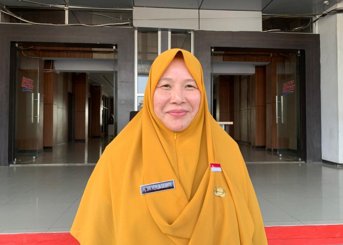 Petani Sawit Swadaya Bakal Punya Acuan Harga Resmi, Pemprov Bengkulu Siapkan Dua Skema Penetapan TBS