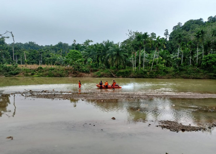 Petani di Kaur yang Hanyut di Sungai Sambat Ditemukan Meninggal, Terjepit di Akar Pohon