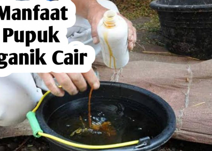 Manfaat Pupuk Organik Cair, Simak Selengkapnya