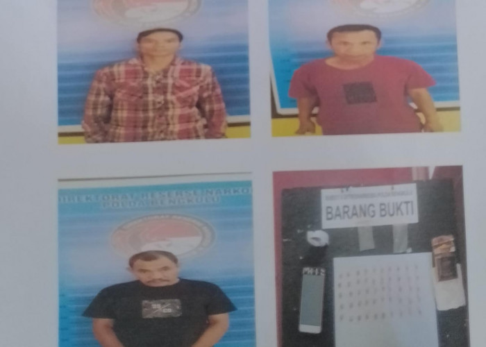 Jual 50 Butir Pil Ekstasi di Rejang Lebong, 3 Warga  Lubuk Linggau Ditangkap Polda Bengkulu